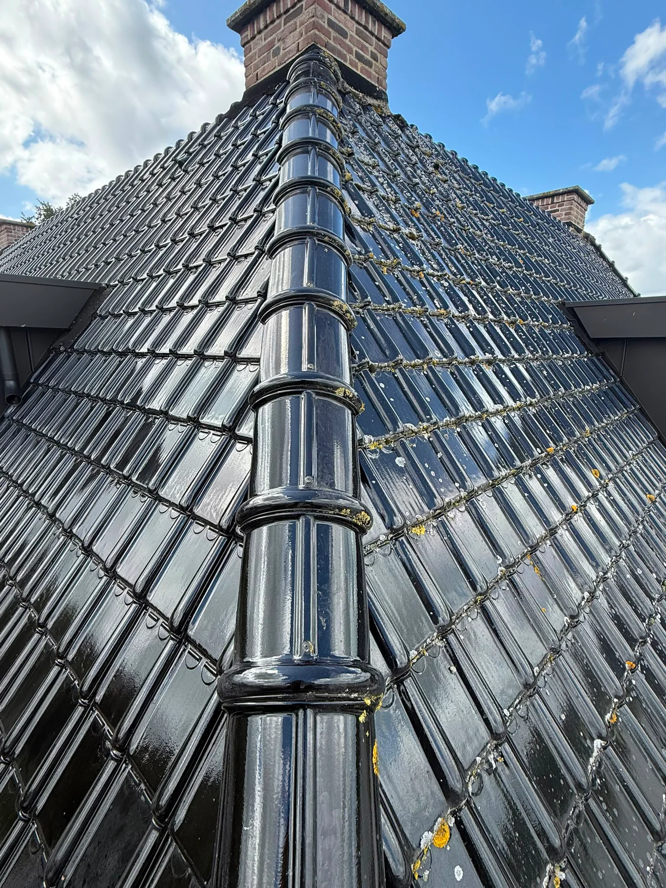 Donker pannendak na een complete behandeling